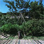 ڐ_R̉ 7 {s@Z@O